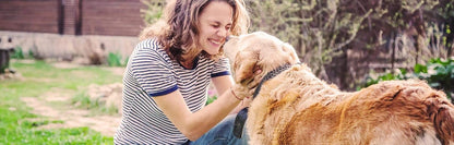K9 Immunity Plus, Immune Support for Dogs Over 31 kg (70 lbs), Organic and Mushroom Enhanced, Pack of 2, 90 Chews