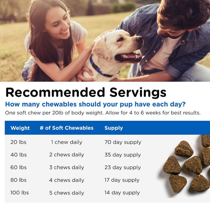 Nutri-Vet Adult-Vite Plus Dog Multivitamin Soft Chews, Daily Dog Supplement with Vitamins, Minerals and Antioxidants, Supports Skin, Immune, Joint and Gut Health, Tasty Chicken Flavour, 70 Count