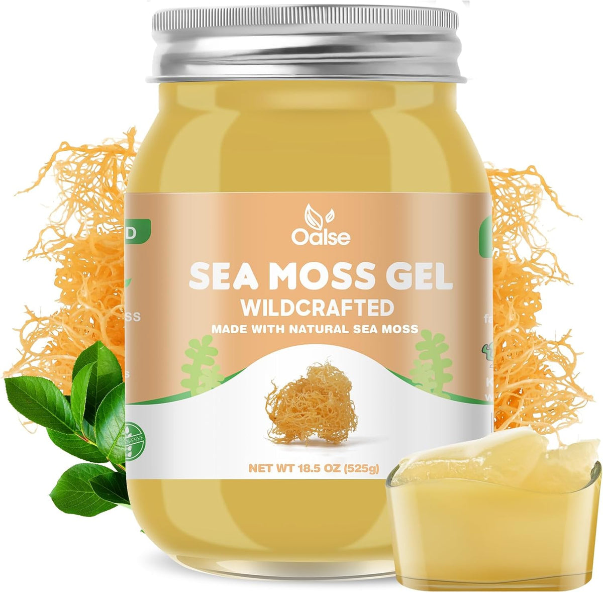 OALSE Sea Moss Gel – Wildcrafted Sea Moss Gel Supplement for Kids and Adults 524g (18.5 oz) Original - görsel 1