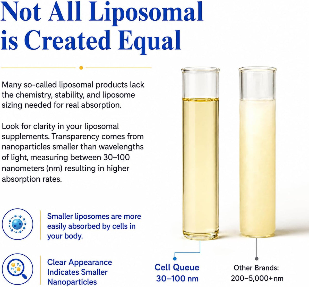Cellqueue Liposomal Vitamin C Liquid 500 mg – Superior Absorption Food Supplement - görsel 5