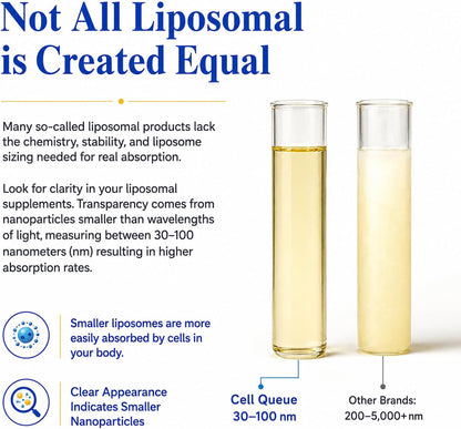 Cellqueue Liposomal Vitamin C Liquid 500 mg – Superior Absorption Food Supplement