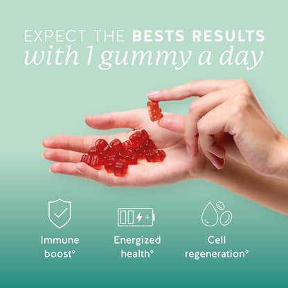 Bears with Benefits Immune Support Gummies – Vitamin C, D, B6 & B12 – Daily Immune Boost – Vegan, Naturally Flavoured (90 Gummies)