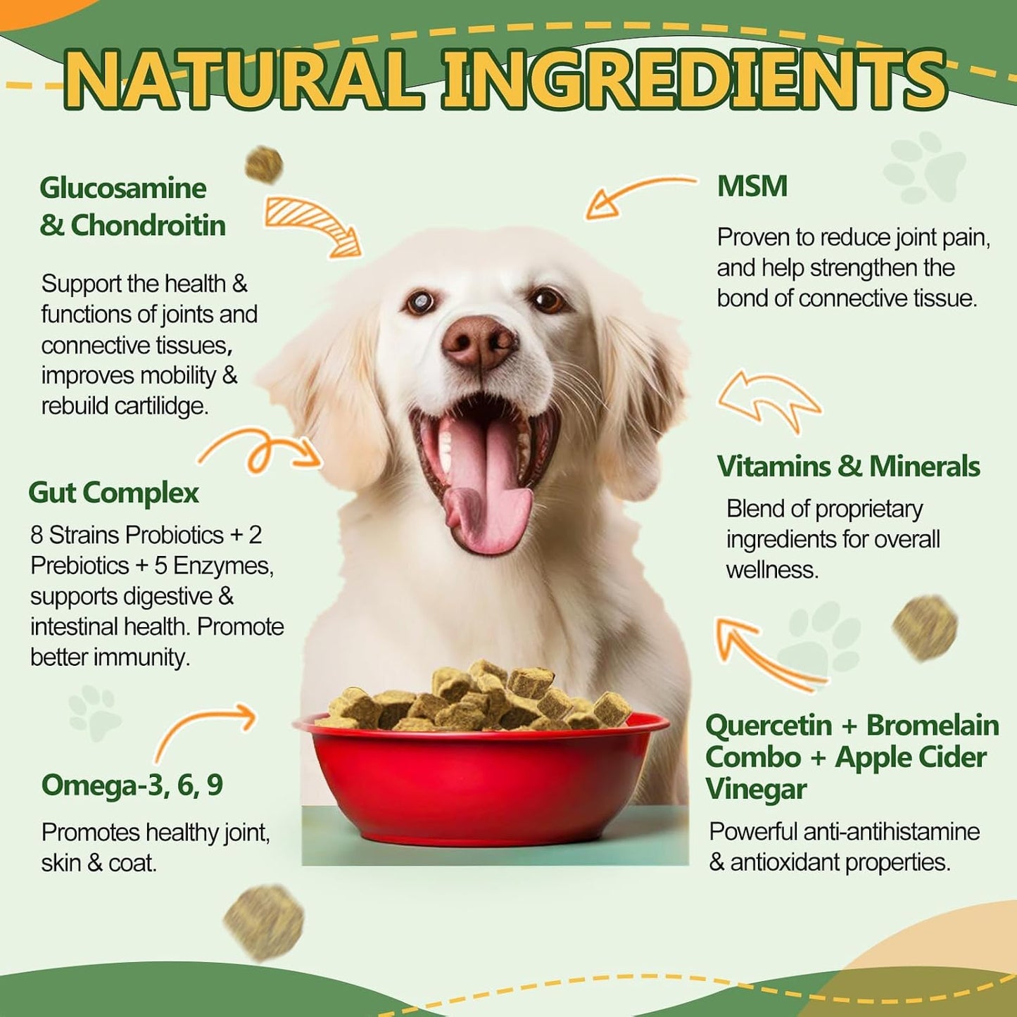 NATURE TARGET Multivitamin for Dogs – with MSM & Glucosamine, Omegas 3 & 6, Probiotics for Digestive Health, Joint Support, Skin & Coat, Immune System & Overall Health, 120 Soft Chews - görsel 4