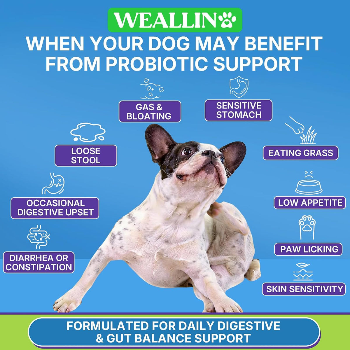 WEALLIN Probiotics for Dogs - 200 Soft Chews for Digestive Health, Itchy Skin Relief & Immune Support - görsel 3