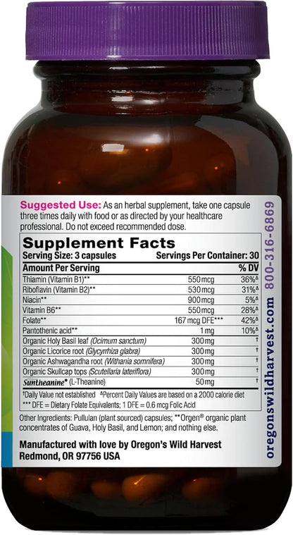 Stress Guard L-Theanine Supplement with Adaptogens, 90 Capsules
