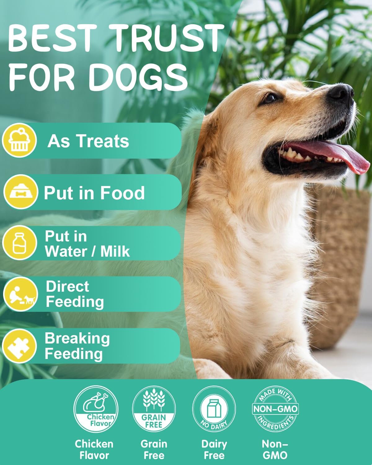 Omega-3 for Dogs - Skin and Coat Supplement with EPA & DHA - Fish Oil Chews with Salmon Oil & Vitamins - Chicken Flavour, 120 Chews - görsel 7
