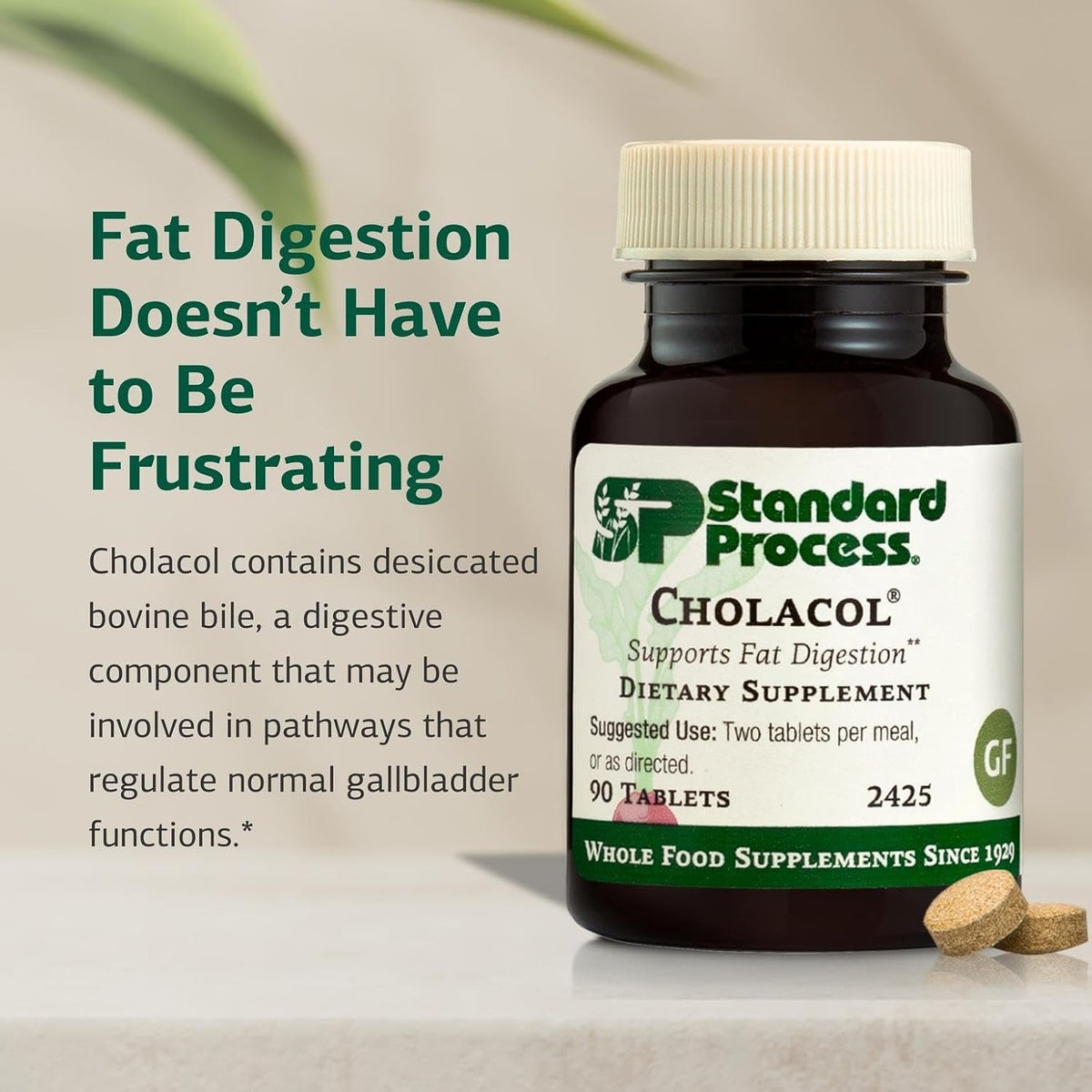 Standard Process Cholacol - Gallbladder Support Food Supplement - Fat Digestion & Bile Support - Gluten-Free, Non-Dairy, Non-Soy - 90 Tablets - görsel 3