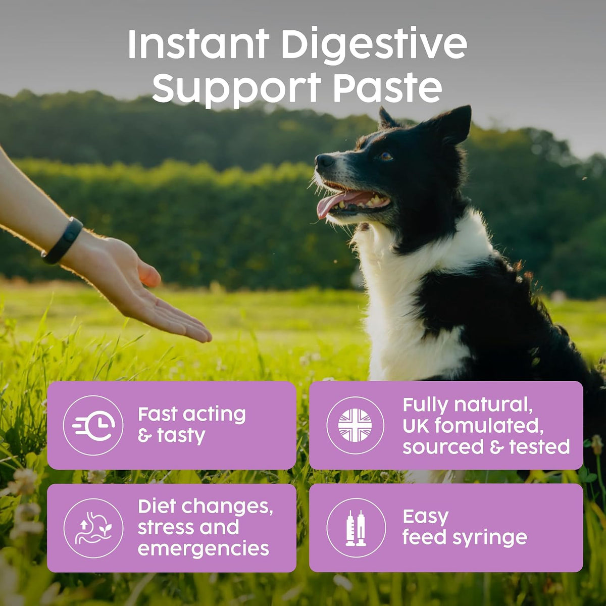 Veterinary Probiotics Paste for Dogs, Tasty Peanut Flavour for Fussy Eaters, Advanced Prebiotic Formula for Digestive Support - Aids Digestion, Diarrhoea Relief, Anti Sickness (60ml) - görsel 3