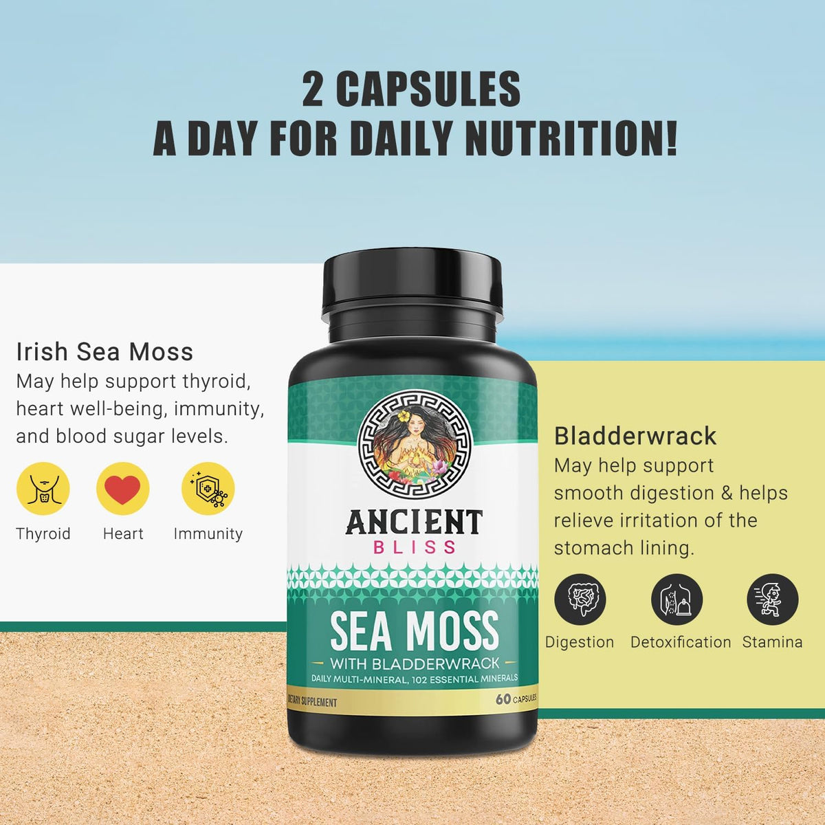 Ancient Bliss Organic Irish Sea Moss Capsules – Wildcrafted Sea Moss with Bladderwrack, 120 Capsules - görsel 3