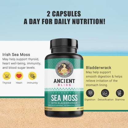 Ancient Bliss Organic Irish Sea Moss Capsules – Wildcrafted Sea Moss with Bladderwrack, 120 Capsules