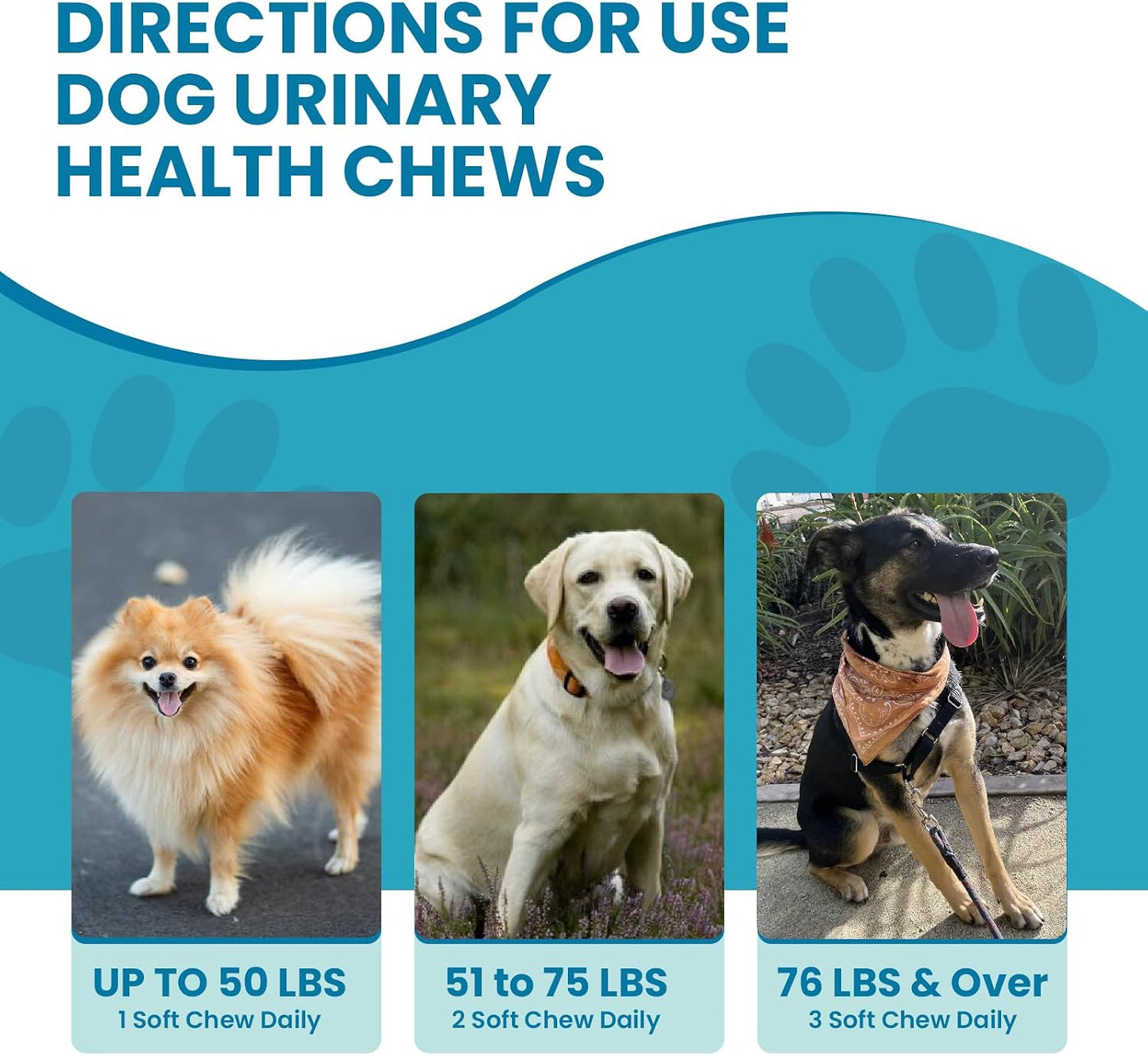 Replenish Urinary Tract Chews for Dogs - Cranberry Extract - 60 Chews - görsel 6