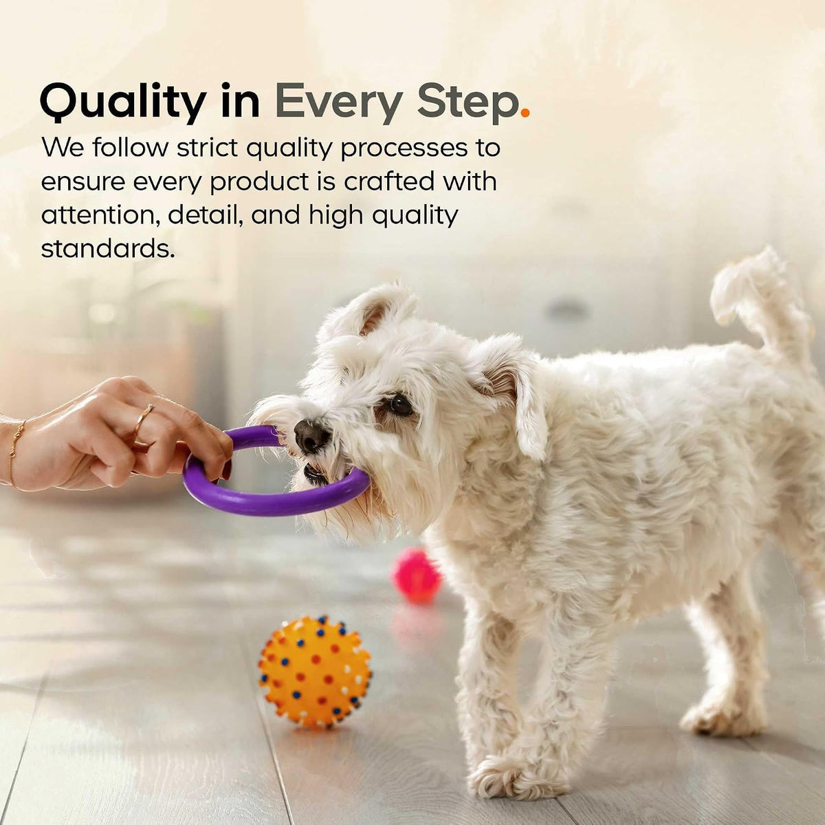 DNA PET Happy Immune Support Mushroom Powder for Dogs - 7 Organic Mushrooms, 99g - görsel 7