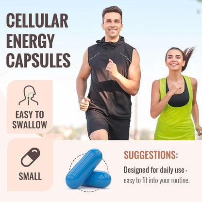 Resciency Mitochondrial Supplements with ATP, CoQ10 and PQQ, 240 Capsules