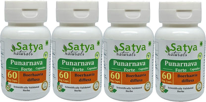 Punarnava Forte Capsule 500 mg - Ayurvedic Herbal Supplement (2 Bottles of 60 Capsules)