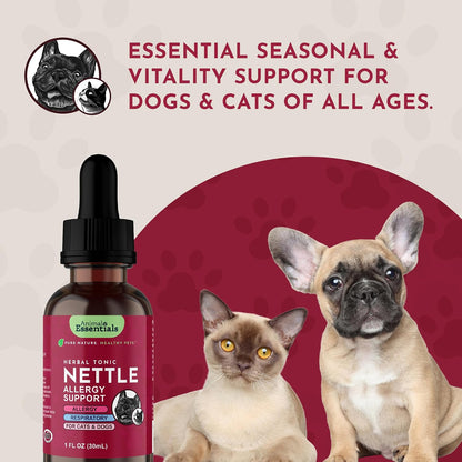 Nettle Herbal Extract 60 ml Bottle