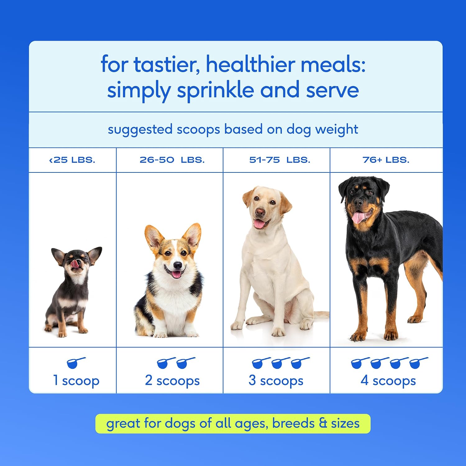 Native Pet The Daily Dog Vitamins & Supplements - 11-in-1 Multivitamin Powder for Dogs - görsel 9