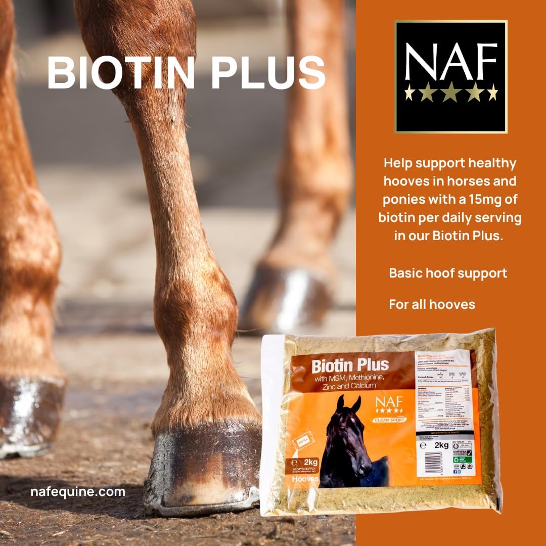 NAF Biotin Plus Refill - görsel 3