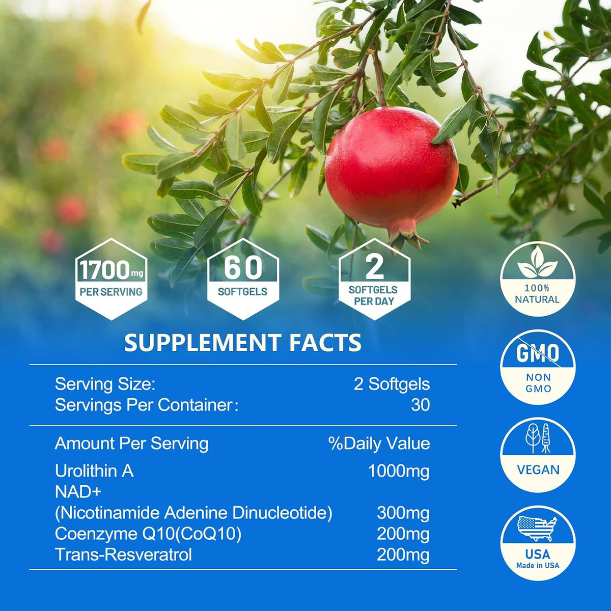 inGreens Urolithin A 1000mg with NAD+ 300mg, CoQ10 200mg and Trans-Resveratrol 200mg Food Supplement (5-Pack) - görsel 6