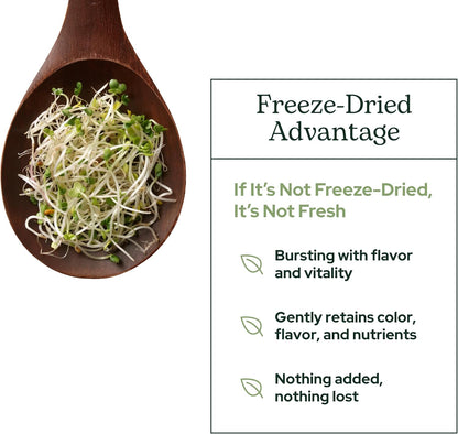 Eclectic Herb – Broccoli Sprouts Powder, Organic, Freeze-Dried, 122g