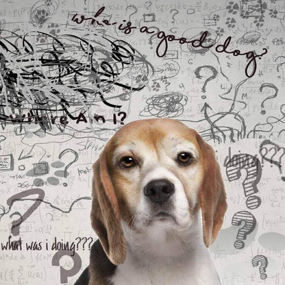 The Blissful Dog Beagle Age Well Spray Aromatherapy - 80 ml