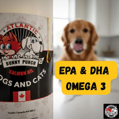 Bunny Punch Pure Atlantic Salmon Oil for Dogs & Cats - Liquid Food Topper - 946 ml
