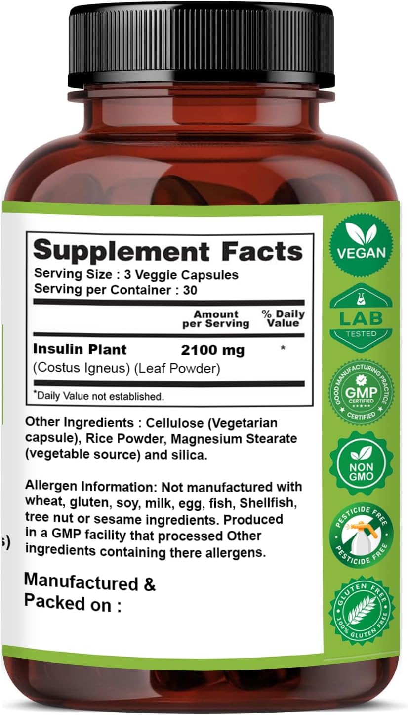 Naturfi Organic Insulin Plant Capsules (Costus Igneus) - Certified Organic, 90 Veggie Caps - görsel 6