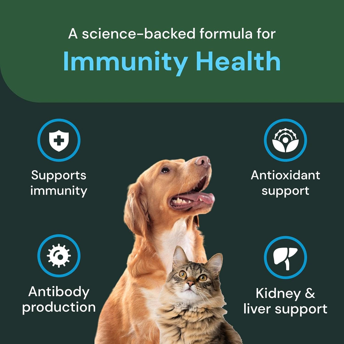 VETRISCIENCE Veterinary Strength DMG Immunity Health Chews - Immune System Support for Dogs & Cats - Liver Function Support - Antioxidant Support for Pets - Chicken Flavour - 50 Count - görsel 4