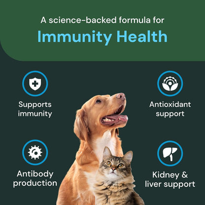 VETRISCIENCE Veterinary Strength DMG Immunity Health Chews - Immune System Support for Dogs & Cats - Liver Function Support - Antioxidant Support for Pets - Chicken Flavour - 50 Count