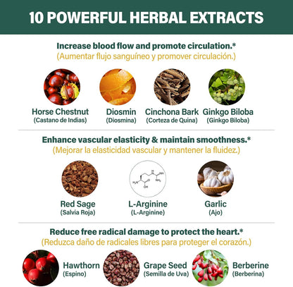 Fuenvegtal Horse Chestnut Circulation Capsules - 10-in-1 Herbal Formula for Healthy Blood Flow & Nitric Oxide Support (90 Capsules)