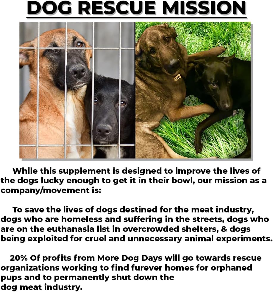 More Dog Days Anti-Ageing & Immune Support | Organic, Human-Grade Ingredients | Medicinal Plants & Mushroom Extracts | Omega 3s, Antioxidants, Probiotics, Vitamins & Minerals | Plant-Based & Vegan - görsel 8