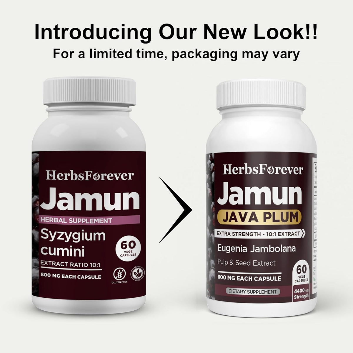 Jamun Capsules – Eugenia Jambolana Seed Extract (10:1) – 60 Vegan Capsules - görsel 9