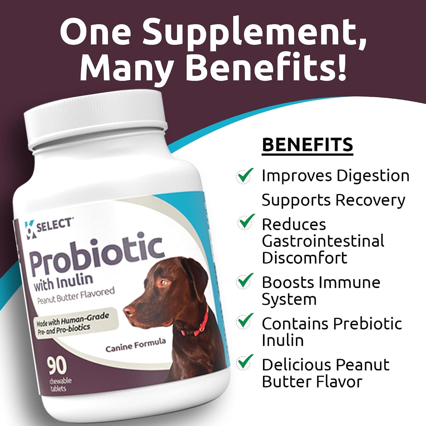 K9 Select Probiotics for Dogs with Inulin – Digestive Health Support (90 Tablets) - görsel 5