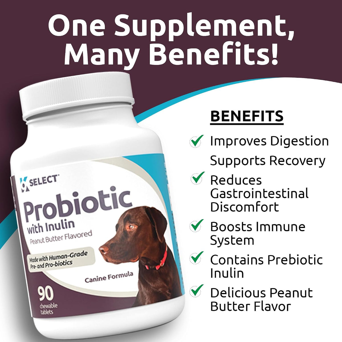 K9 Select Probiotics for Dogs with Inulin – Digestive Health Support (90 Tablets) - görsel 5