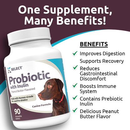 K9 Select Probiotics for Dogs with Inulin – Digestive Health Support (90 Tablets)