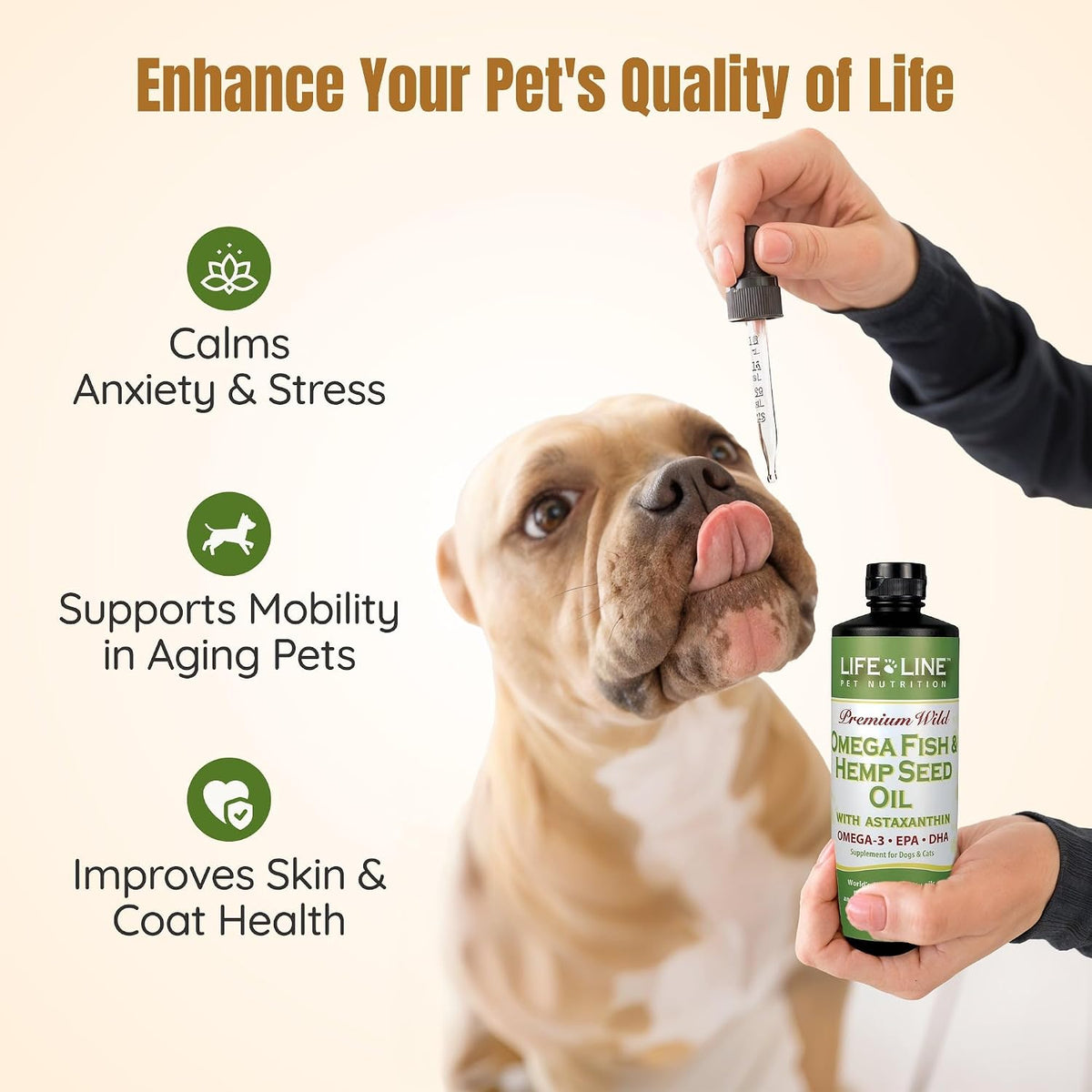 Lifeline Premium Pet Hemp Oil for Dogs & – Expert Formulation: Developed by a pet nutrition specialist with four – Image 3