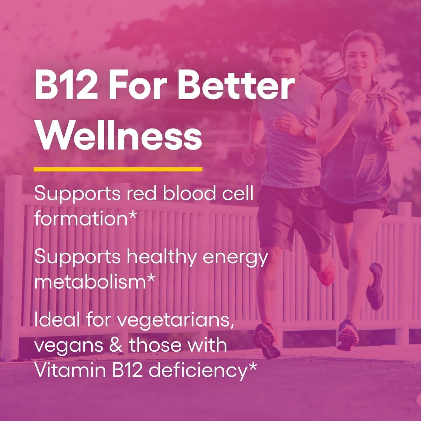 Natural Factors Vitamin B12 Methylcobalamin 1,000 mcg Quick Dissolving Tablets - görsel 5