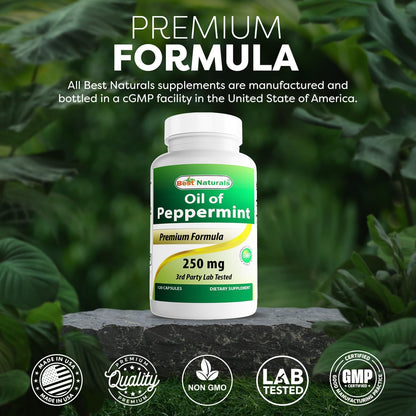 Best Naturals Peppermint Oil 250 mg - 120 Capsules (Pack of 2)