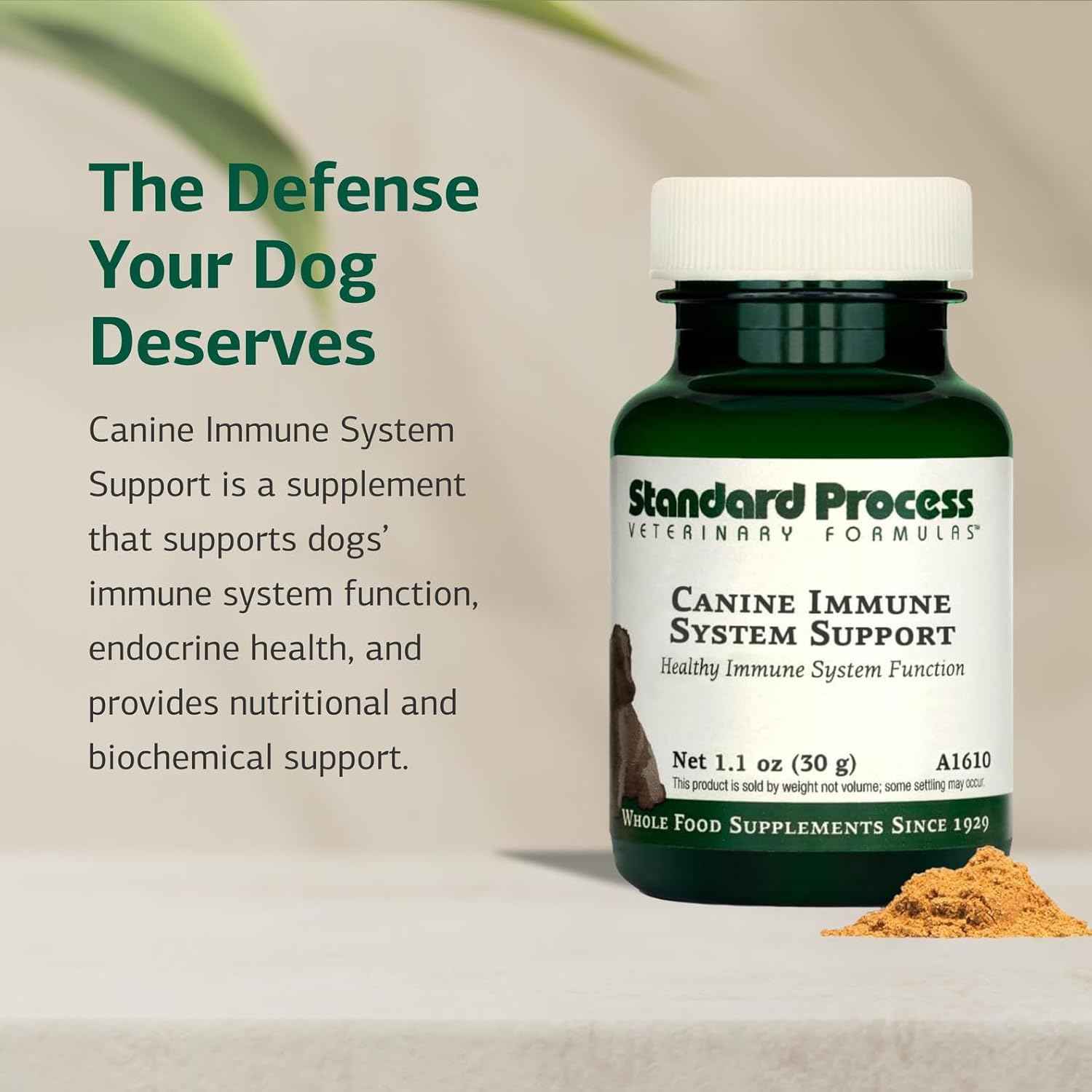 Standard Process Canine Immune Support - Powder Supplement for Dogs with Zinc and Kelp - görsel 3