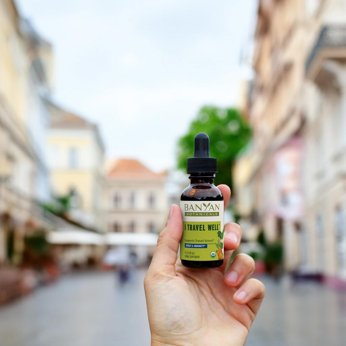 Banyan Botanicals I Travel Well Liquid Extract – Organic Fast-Acting Immune Support – 30 ml - görsel 5