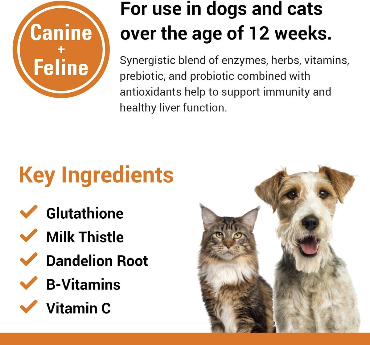 Vet Classics Liver Support Pet Health Supplement for Dogs and Cats – Liver Functions – B-Vitamins, Glutathione, Milk Thistle – 60 Chewable Tablets - görsel 5