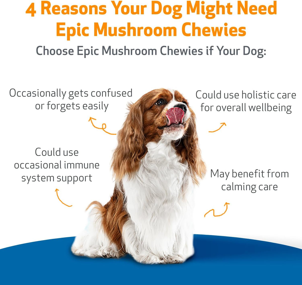 Pet Wellbeing Epic Mushroom Chewies for Dogs – Immune Support, Cognitive Health, Adaptogenic Stress Support with Reishi, Chaga, Lion's Mane Functional Mushrooms – Vet-Formulated 90 Soft Chews - görsel 3