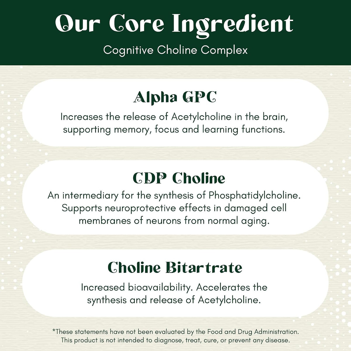 Alpha Focus Nootropic - Memory & Focus Brain Supplement with Choline, Citicoline, GPC, L-Tyrosine, Bacopa, Lion's Mane & More - 60 Capsules - görsel 5