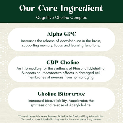Alpha Focus Nootropic - Memory & Focus Brain Supplement with Choline, Citicoline, GPC, L-Tyrosine, Bacopa, Lion's Mane & More - 60 Capsules