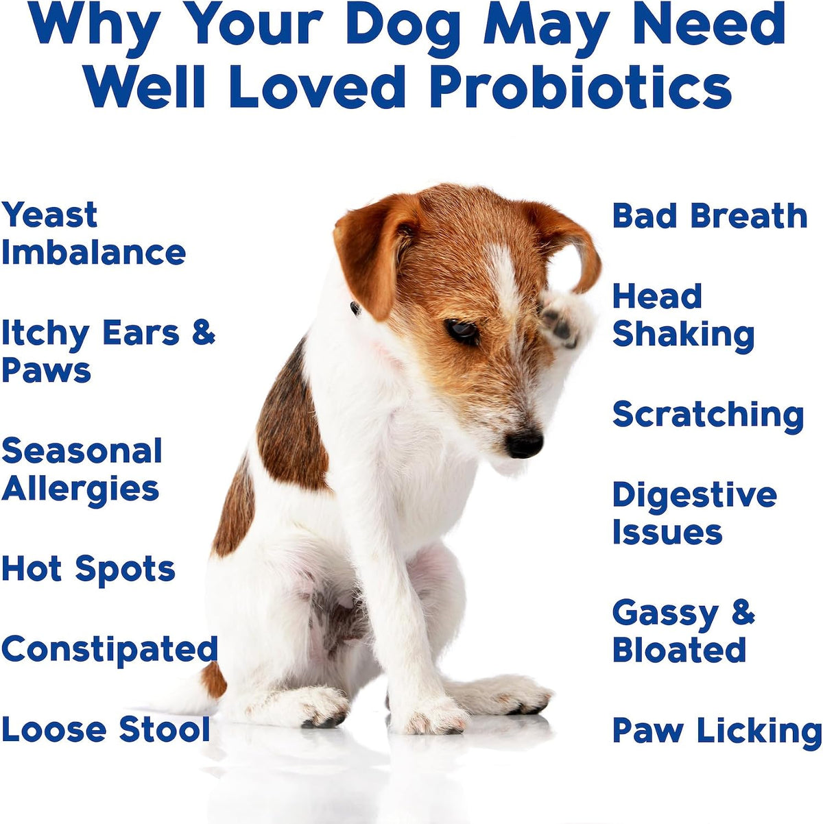 Well Loved Probiotics for Dogs – Soft Chews with Prebiotics and Digestive Enzymes - görsel 5
