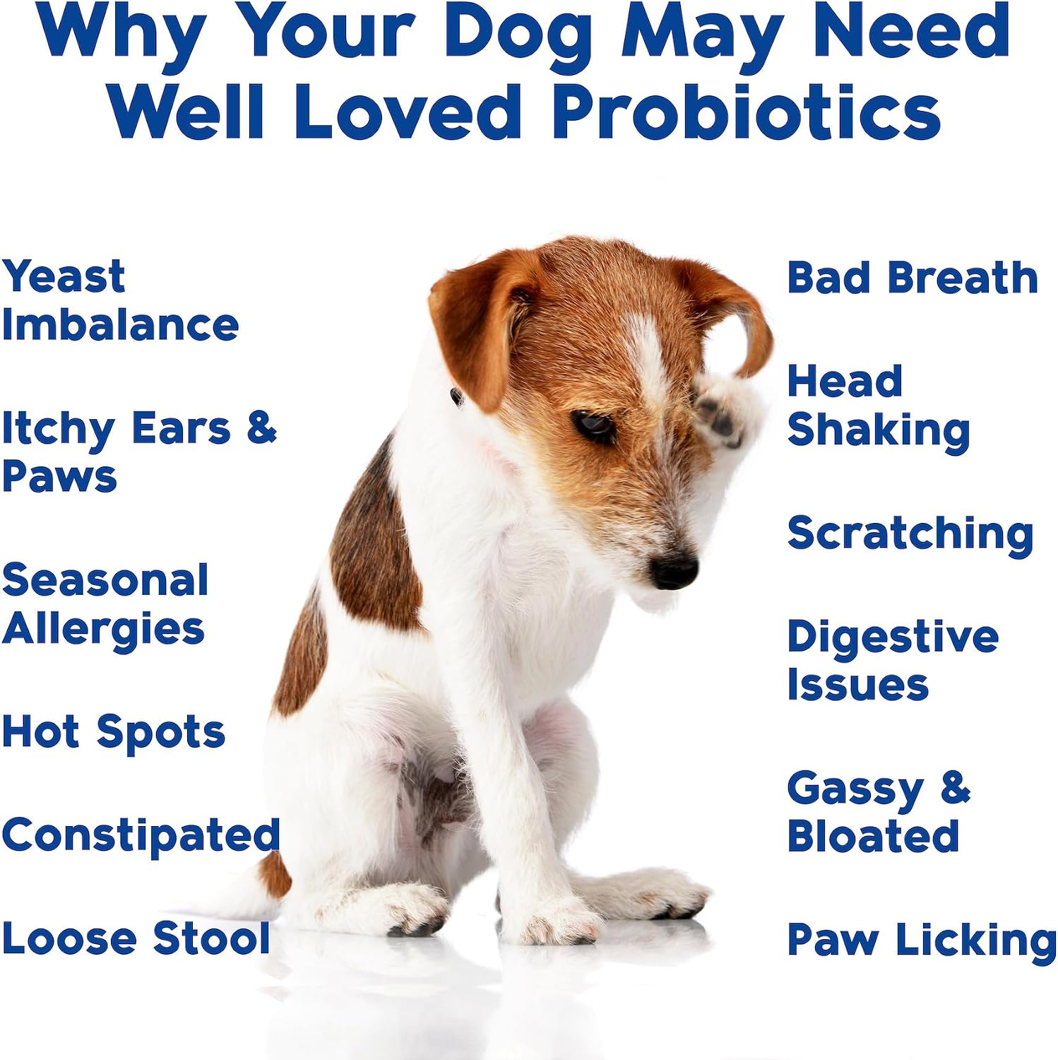 Well Loved Probiotics for Dogs – Soft Chews with Prebiotics and Digestive Enzymes - görsel 5