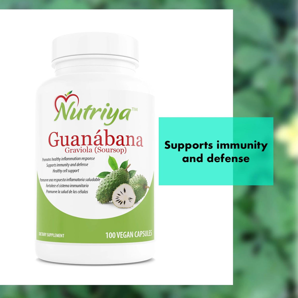 Nutriya Guanábana (Soursop/Graviola) – Super Antioxidant Support – 100 Vegetarian Capsules - görsel 3