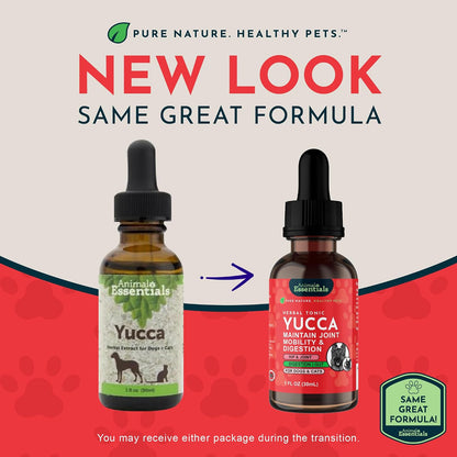Yucca - Hip and Joint Yucca Root Supplement for Dogs & Cats, Liquid Herbal Care Drops for Senior Dogs & Older Pets, Digestion & Immune Support, Antioxidant Boost - 30 ml