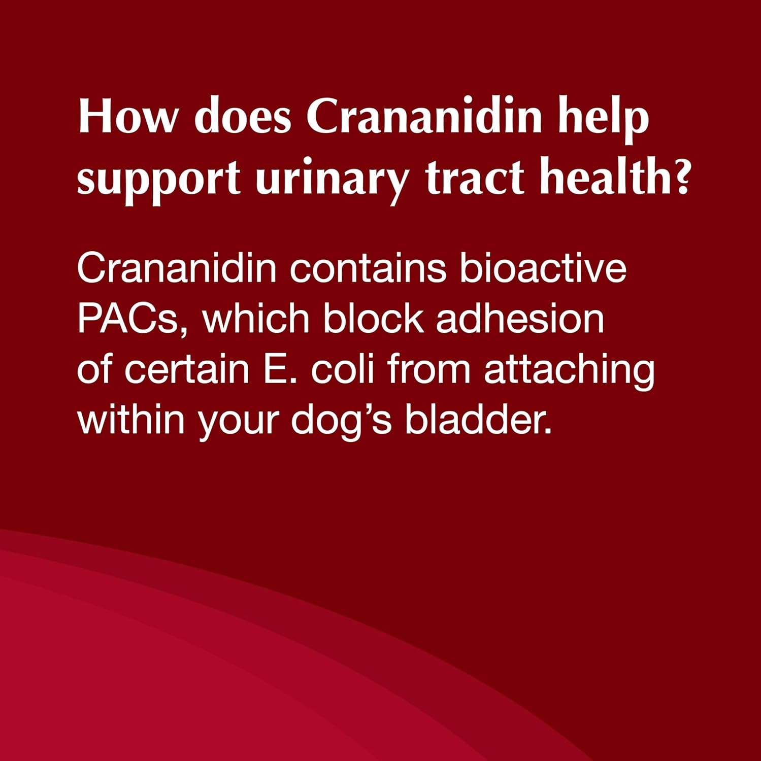 Nutramax Crananidin for Dogs, Urinary Tract Health and Bladder Support, Cranberry Supplement, Chewable Tablets, 75 Count - görsel 9
