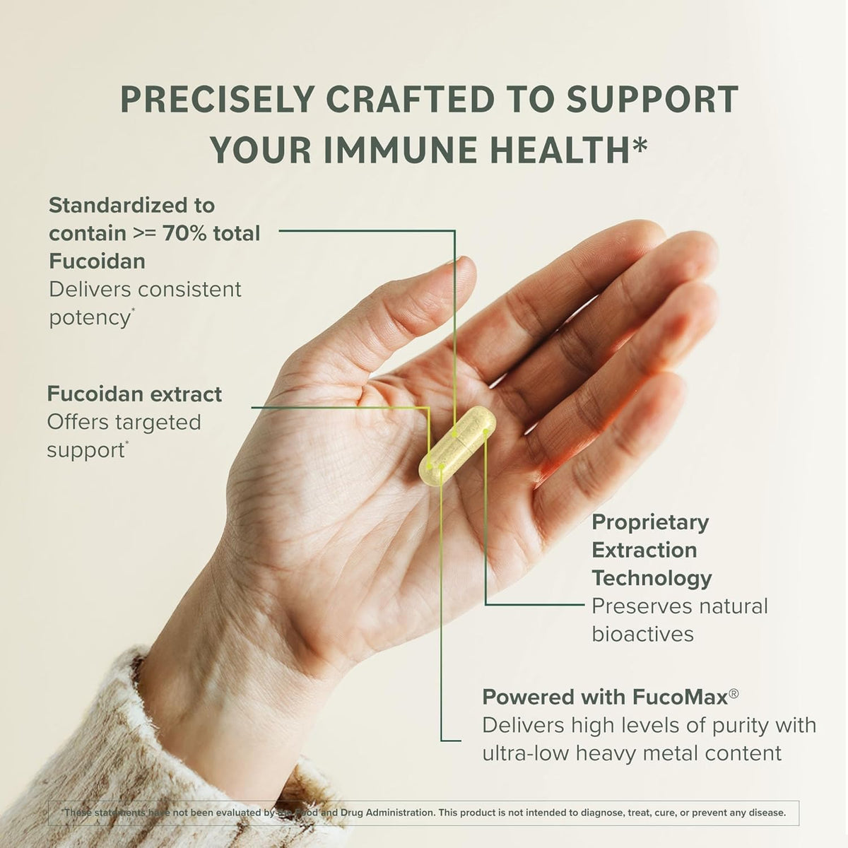Prominent Nutrition Fucoidan Gut Health & Immune Support Food Supplement – 250mg, 60 Capsules - görsel 5