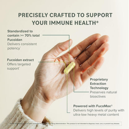Prominent Nutrition Fucoidan Gut Health & Immune Support Food Supplement – 250mg, 60 Capsules